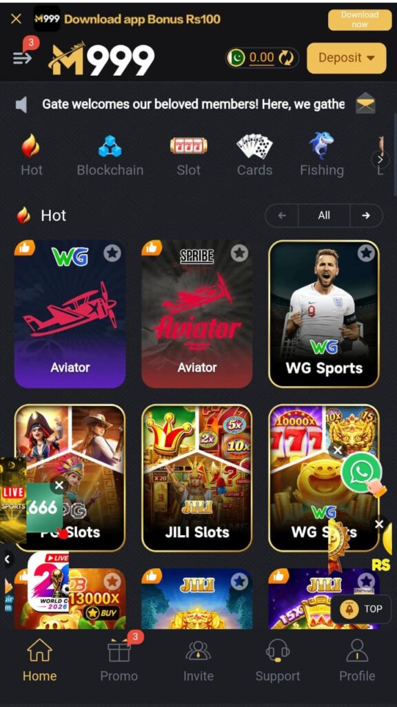 M999 GAME IMAGE