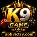 K9GAME LOGO IMAGE