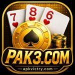 PAK3 GAME LOGO IMAGE